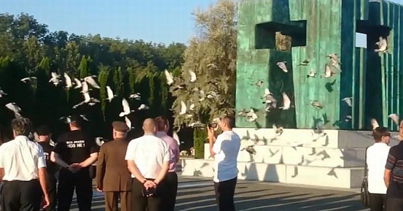 (VIDEO) LET ZA SLOBODU Pogledajte kako je tisuću golubova poletjelo iz Vukovara prema Kninu