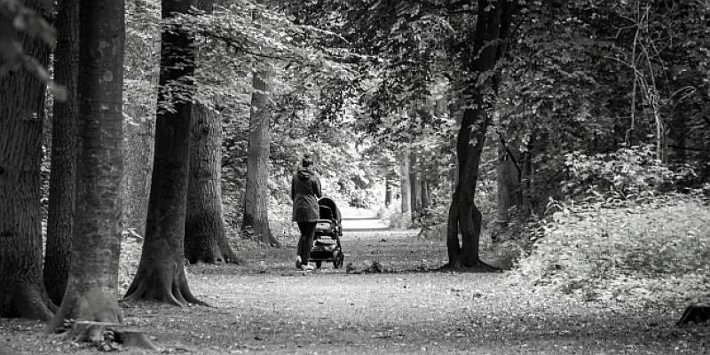 NIZ NAPADA AZILANATA Usred bijela dana napao majke s djecom