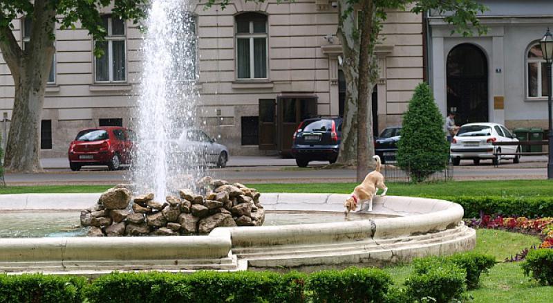 SMRZOTINA U Zagrebu danas najhladniji 12. kolovoza otkako se mjeri temperatura