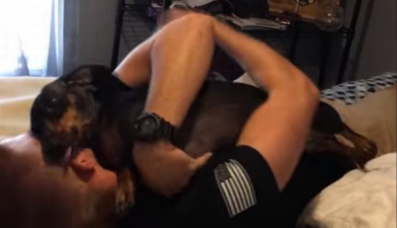 (VIDEO) KAKAV NOS I SRCE Pas njuhom pronašao vlasnika kojeg nije vidio šest mjeseci