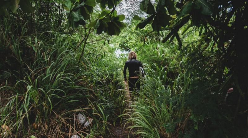 Srušio se avion u džunglu. Preživjelo nekoliko ljudi...