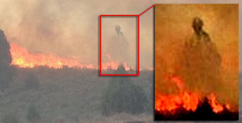 FOTO Obitelj vjeruje da je uslikala svog anđela čuvara: 'Ovo je čudo, Gospodin nam je pomogao'