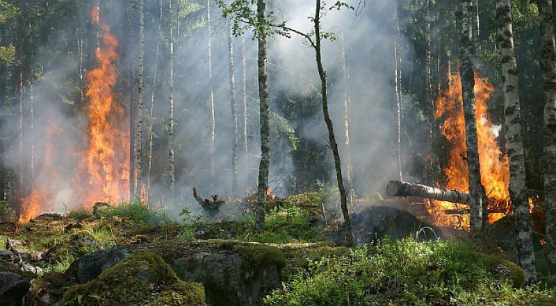 Priča djed kako mu je bilo u Drugom svjetskom ratu...