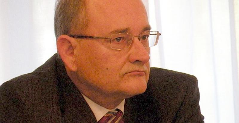 PREDSTAVLJAMO ZASTUPNIKE DIJASPORE Tko je Božo Ljubić?