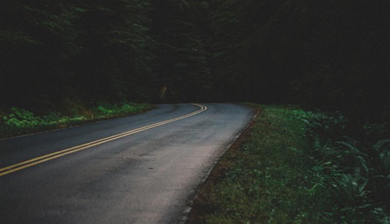 Voze se Joža i Štef s vatrogasne zabave...