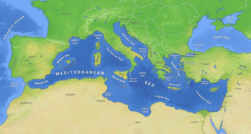 MEDITERAN ZA 30 GODINA Dalmaciji prijeti istrebljenje brojnih vrsta