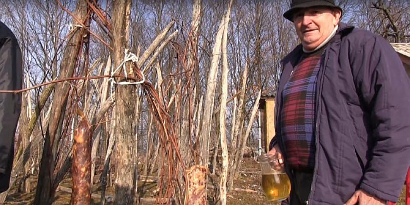 (VIDEO) Napravio sam kratak film da vam pokažem kako izgleda jedna godina u životu hrvatskog vinogradara