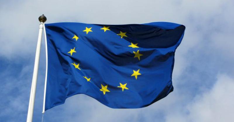 ŠTO JE OBILJEŽILO EU U 2016.? ... I što je očekuje u budućnosti?