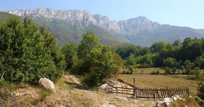 ARAPI MASOVNO KUPUJU I NA VLAŠIĆU? Sarajevski list objavio da kupuju 'sve što vide'