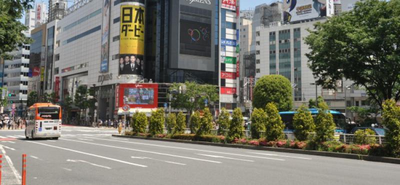 Mujo otišao na put u Japan...