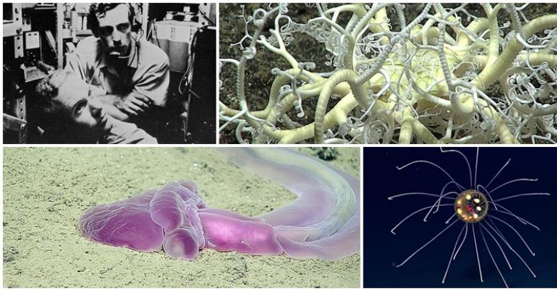 (VIDEO) OPASAN POTHVAT U MRAČNIM DUBINAMA Prije 57 godina osvojili smo najdublju točku na Zemlji