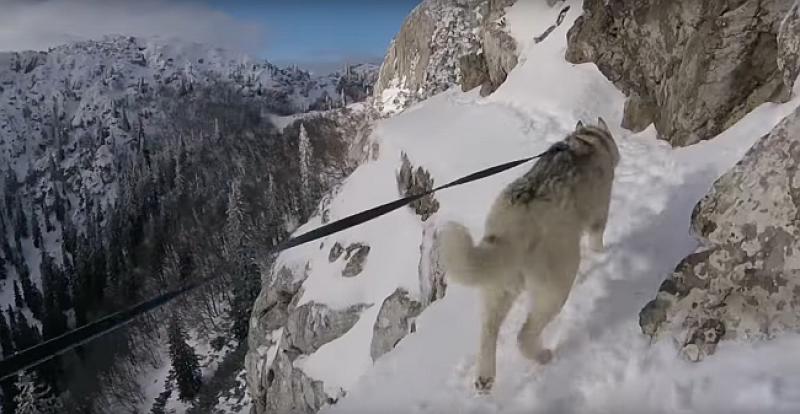 (VIDEO) HRABRO I PREDIVNO Hrvatski trkač s psom na snježnim, vrtoglavo strmim obroncima Velebita