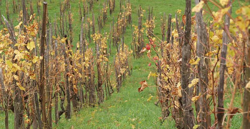 Kako Zagorci štrajkaju?