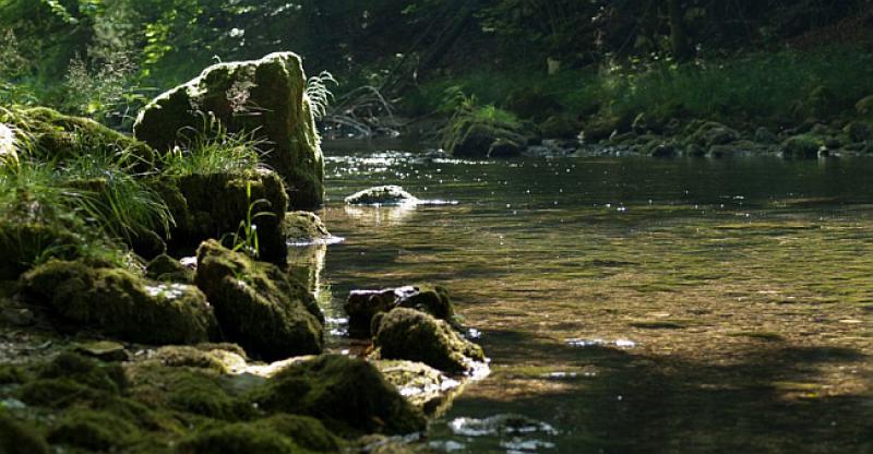 (FOTOGALERIJA) LIJEPA NAŠA 20 fotografija koje pokazuju koliko je Hrvatska predivna