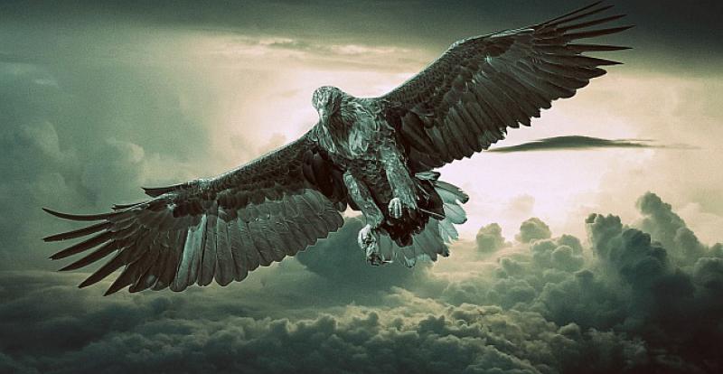 (VIDEO) LEGENDARNE HRVATSKE PJESME Prosto zrakom ptica leti, prosto gore zvijer prolazi, a ja da se lancim speti dam tuđincu da me gazi?