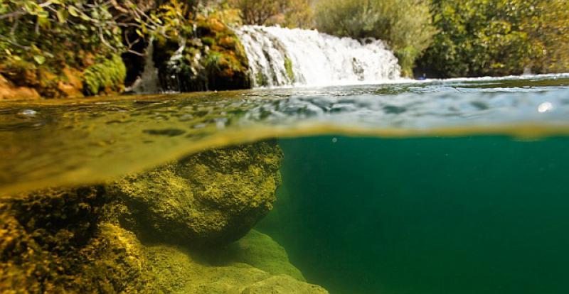 ŽILE KUCAVICE HRVATSKE SU U OPASNOSTI Nijedna zemlja u Europi nema takve rijeke, očuvajmo ih za našu djecu i buduće generacije!