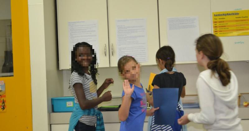 17-GODIŠNJA TERORISTICA Željela izvesti bombaški napad na škole u Danskoj