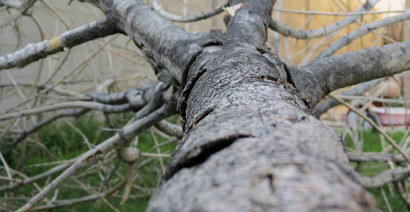 'BALVAN REVOLUCIJA' U FRANCUSKOJ Migranti postavili trupce na cestu, poginuo vozač