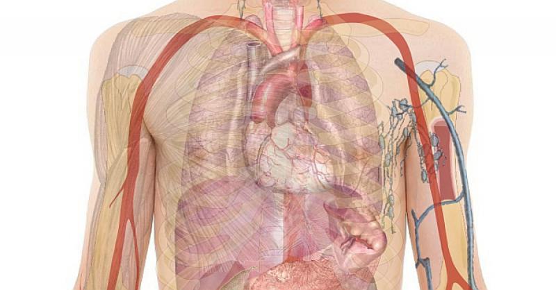 NAJAVA HRVATSKOG ZNANSTVENIKA IZ KANADE KOJA ĆE PROMIJENITI SVIJET 'Za šest do 12 mjeseci predstavljamo lijek za karcinom pluća!'