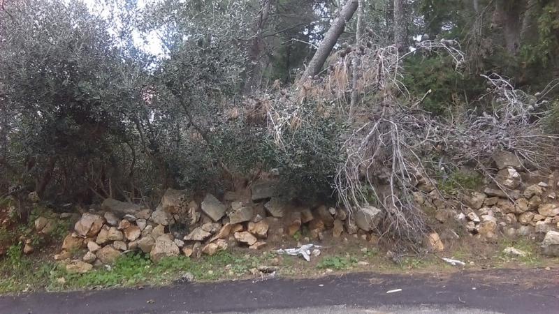PRODAJA ILI ZAMJENA Građevinsko zemljište u Mirci na Braču