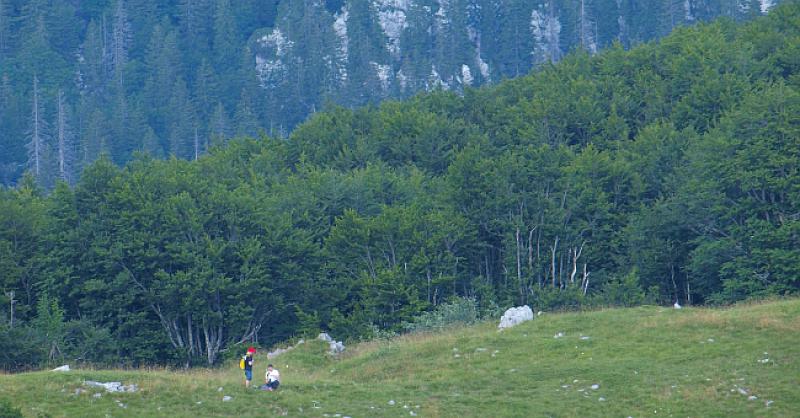 ISKONSKE HRVATSKE ŠUME Upisane na UNESCO-v popis svjetske baštine