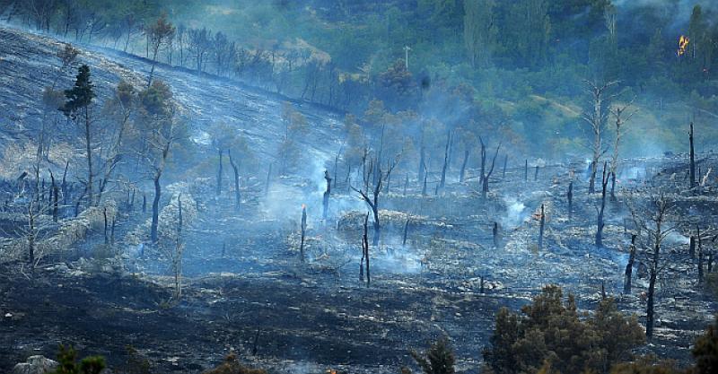 'OVO JE KATAKLIZMA' Od Omiša do Splita izgorjelo 4500 hektara šume, maslinika...
