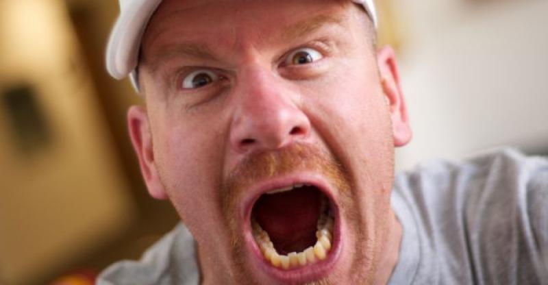 BISTE LI SE JAVILI NA OVAJ OGLAS? Prevoditelj koji zna psovati na njemačkom