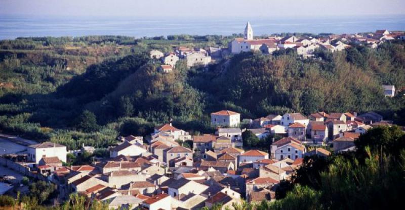 DAN ISELJENIKA Okupljanje Sušćana koji žive diljem svijeta