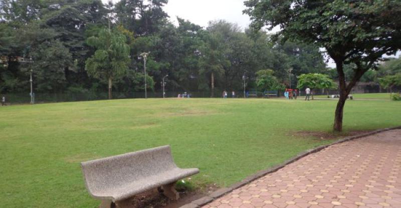 POŠTENI NALAZNIK Našao pravo malo bogatstvo pod drvetom i predao ga policiji