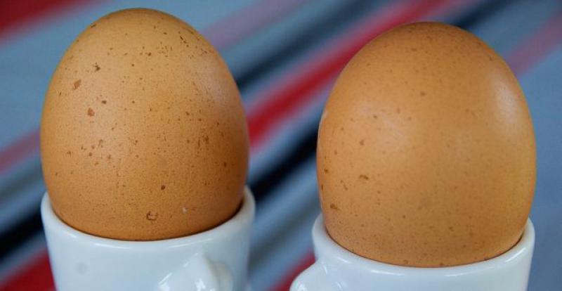 SKANDAL U PREHRAMBENOJ INDUSTRIJI Njemačka povukla s tržišta jaja s insekticidom opasnim za ljudsko zdravlje