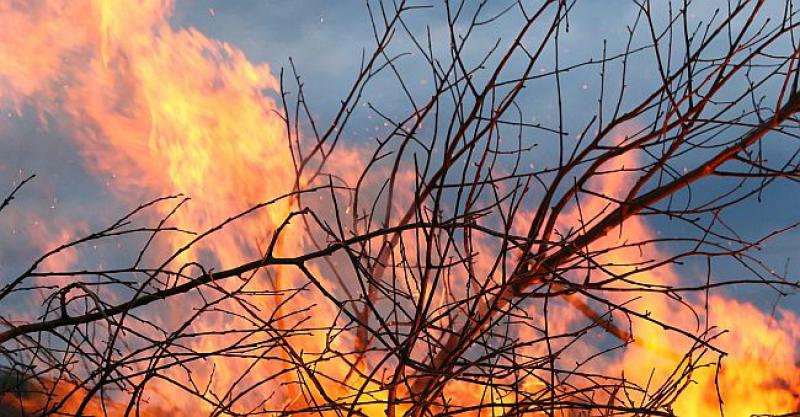 ŠESTORICA MLADIĆA PRIVEDENI ZBOG POŽARA Četvorica 'lokalaca' i dvojica državljana Srbije