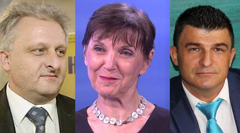 VLADA IMENOVALA SAVJET ZA HRVATE IZVAN REPUBLIKE HRVATSKE Austrijske Hrvate predstavljat će Gabriela Novak-Karral, Stanko Horvath i Miroslav Piplica