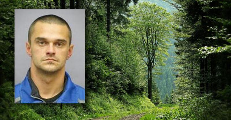 POLICIJA 'ČEŠLJA' SCHWARZWALD Ubojicu sina Dražena Dakića traže po teškom šumskom terenu