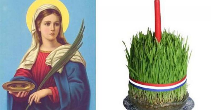 SVETA JE LUCIJA Danas sijemo pšenicu - slijedite ovih 7 koraka da bude lijepa i gusta