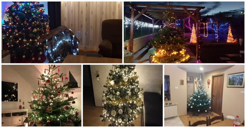 (FOTOGALERIJA) VAŠA BOŽIĆNA DRVCA Hvala vam što ste nas nakratko pustili u svoj dom