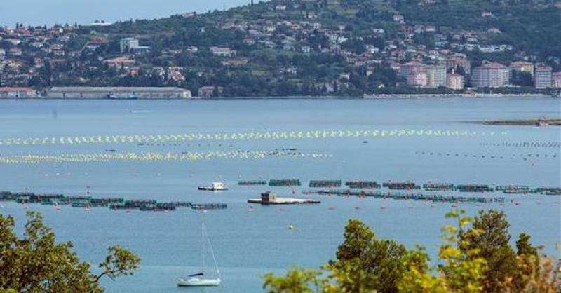 RIBAR OPISAO BLISKI SUSRET U SAVUDRIJI Isplovili su oko 6, prišao im je brod slovenske policije i upozorio ih, a onda je između njih stala hrvatska policija