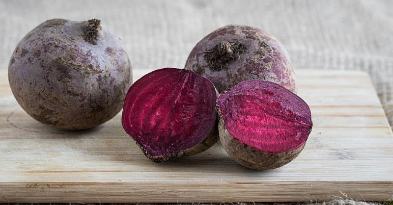 PRIRODA LIJEČI Cikla – evo kod kojih sve bolesti i problema će vam pomoći ova nepravedno zanemarena biljka