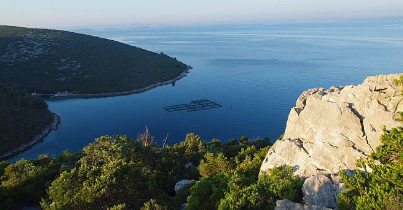 FOTOGALERIJA Posjetili smo rajski otok Pašman, dragulj hrvatskog turizma koji čeka da ga otkrijete