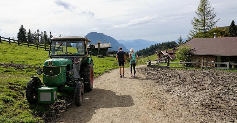 AUSTRIJANCI NA MUKAMA Nedostaje im sezonaca na poljoprivredi: 'Hrvati su otišli u Njemačku'