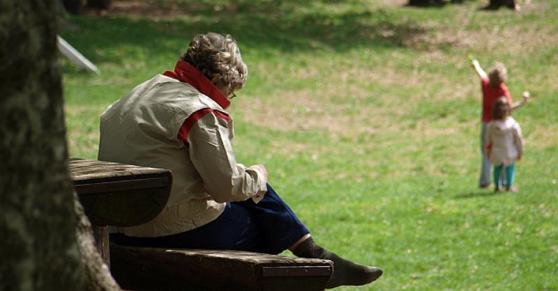 ŽIVJETI U HRVATSKOJ? Donosimo vam 5 razloga zašto je lijepo i 4 razloga zašto nije