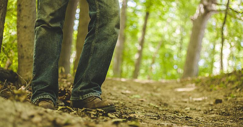 POTJERA ZA ZA AZILANTOM U AUSTRIJI Namamio je ženu u šumu pa je silovao