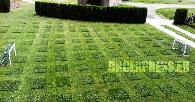 INSPIRIRANI SLAVONAC U čast reprezentaciji pokosio je travnjak u 'kockice'