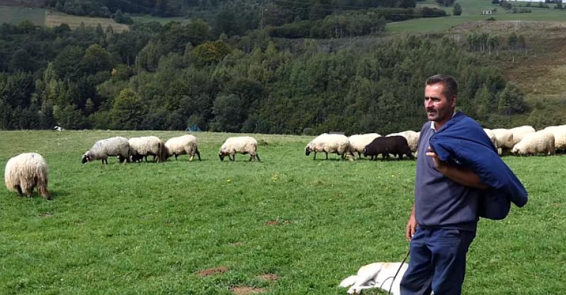 (VIDEO) 'U BIH JE LAKŠE NAĆI DOBROG DOKTORA NEGO ČOBANA Plaćao sam ga 1000 maraka...'