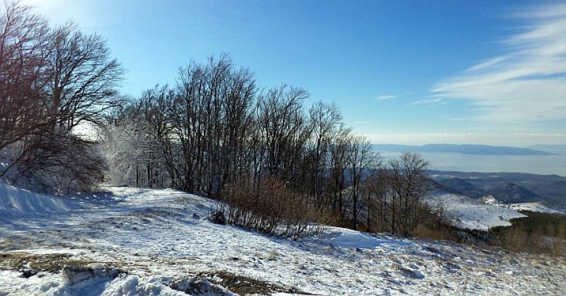 ILEGALNI MIGRANTI PROVALILI U VIKENDICE Na Platku, vlasnici uznemireni