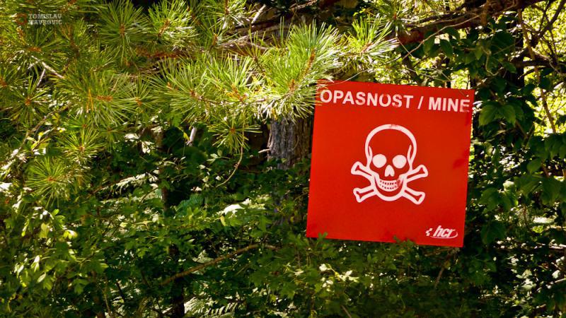 SAMO U HRVATSKOJ Uzgajali marihuanu u slavonskim minskim poljima