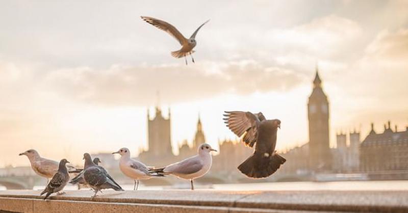 MOLITVE DUHU SVETOM Za svakodnevni rast u vjeri