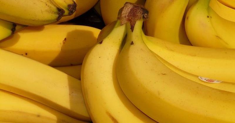 OSTALE SU VAM PREZRELE BANANE? Imamo odličan prijedlog kako da ih iskoristite