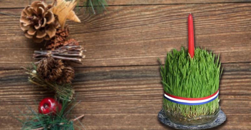 SIJEMO PŠENICU Ako želite da vam bude lijepa i gusta, slijedite ovih 7 koraka