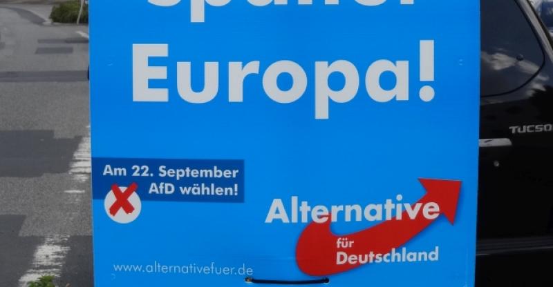 AFD ZA IZLAZAK NJEMAČKE IZ EU Ako se ne provedu ove reforme: 'Službenici zarađuju više od Merkel'