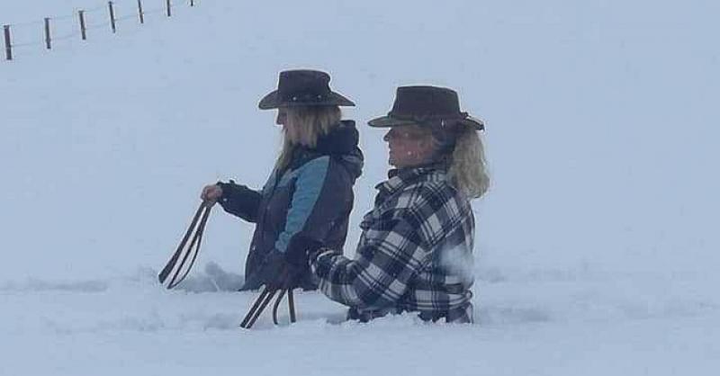 FOTO ZABAVA Kako ovih dana šeću pse u Austriji